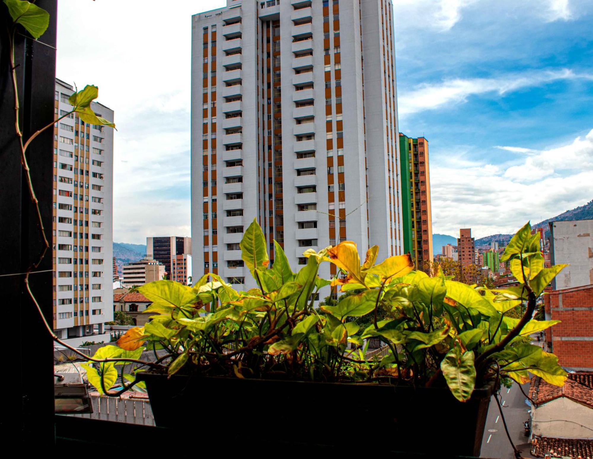 Hotel Medellin Arte Eksteriør billede